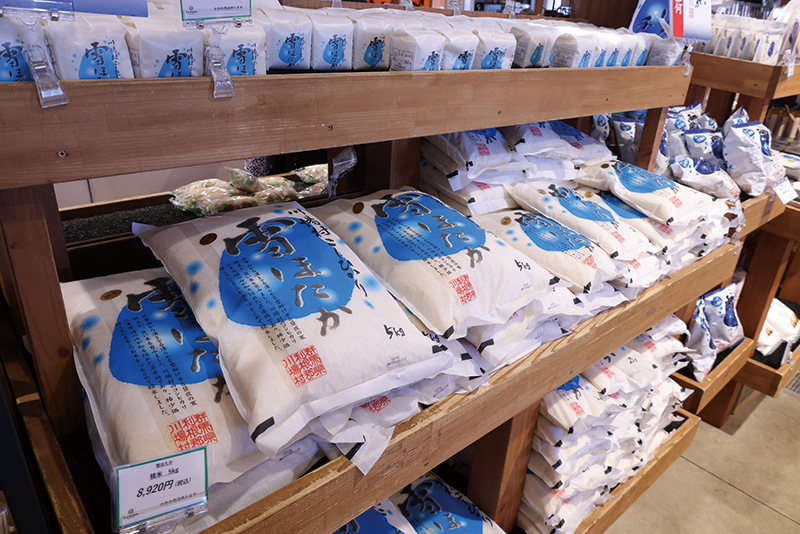 川場村のブランド米「雪ほたか」は粘りと甘みがあり、冷めてもおいしい。おにぎり店「かわばんち」では雪ほたかのおにぎり（300円～）を販売。